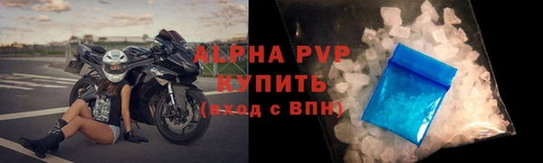 PSILOCYBIN Гусев