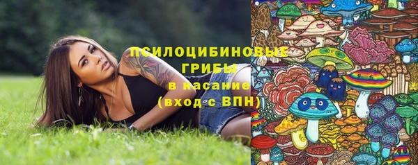 ECSTASY Медвежьегорск