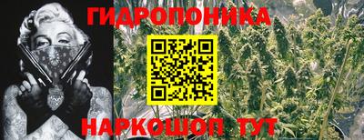 каннабис Ипатово
