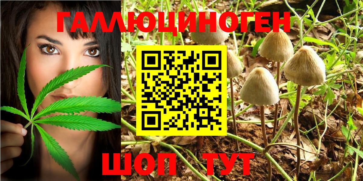Галлюциногенные грибы MAGIC MUSHROOMS  Вход с VPN  Шарыпово  Псилоцибиновые грибы GOLDEN TEACHER 