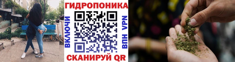 Бошки Шишки OG Kush Шарыпово