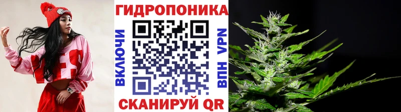 Канабис индика  Шарыпово 